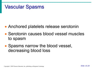 Vascular Spasms
Slide 10.20
Copyright © 2003 Pearson Education, Inc. publishing as Benjamin Cummings
 Anchored platelets release serotonin
 Serotonin causes blood vessel muscles
to spasm
 Spasms narrow the blood vessel,
decreasing blood loss
 