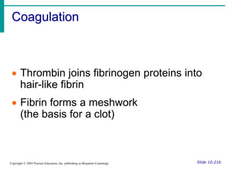 Coagulation
Slide 10.21b
Copyright © 2003 Pearson Education, Inc. publishing as Benjamin Cummings
 Thrombin joins fibrinogen proteins into
hair-like fibrin
 Fibrin forms a meshwork
(the basis for a clot)
 