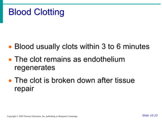 Blood Clotting
Slide 10.22
Copyright © 2003 Pearson Education, Inc. publishing as Benjamin Cummings
 Blood usually clots within 3 to 6 minutes
 The clot remains as endothelium
regenerates
 The clot is broken down after tissue
repair
 
