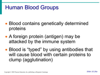 Human Blood Groups
Slide 10.26a
Copyright © 2003 Pearson Education, Inc. publishing as Benjamin Cummings
 Blood contains genetically determined
proteins
 A foreign protein (antigen) may be
attacked by the immune system
 Blood is “typed” by using antibodies that
will cause blood with certain proteins to
clump (agglutination)
 