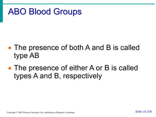 ABO Blood Groups
Slide 10.27b
Copyright © 2003 Pearson Education, Inc. publishing as Benjamin Cummings
 The presence of both A and B is called
type AB
 The presence of either A or B is called
types A and B, respectively
 