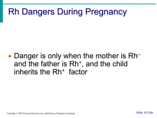 Rh Dangers During Pregnancy
Slide 10.29a
Copyright © 2003 Pearson Education, Inc. publishing as Benjamin Cummings
 Danger is only when the mother is Rh–
and the father is Rh+, and the child
inherits the Rh+ factor
 