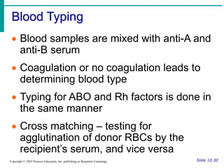 Blood Typing
Slide 10.30
Copyright © 2003 Pearson Education, Inc. publishing as Benjamin Cummings
 Blood samples are mixed with anti-A and
anti-B serum
 Coagulation or no coagulation leads to
determining blood type
 Typing for ABO and Rh factors is done in
the same manner
 Cross matching – testing for
agglutination of donor RBCs by the
recipient’s serum, and vice versa
 