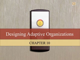 Designing Adaptive Organizations CHAPTER 10 0 