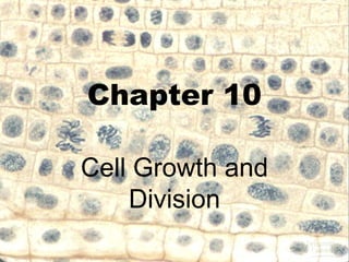 Cell Division - Mitosis and Meiosis lect | PPT | Biological Sciences ...