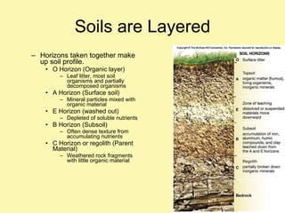 Horizons taken together make up soil profile. O Horizon (Organic layer) Leaf litter, most soil organisms and partially decomposed organisms A Horizon (Surface soil) Mineral particles mixed with organic material E Horizon (washed out) Depleted of soluble nutrients B Horizon (Subsoil)  Often dense texture from accumulating nutrients C Horizon or regolith (Parent Material) Weathered rock fragments with little organic material Soils are Layered 