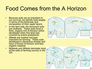 Food Comes from the A Horizon Because soils are so important to our survival, we identify soils largely in terms of the thickness and composition of their upper layers. In the farm belt, the dominant soils are mollisols.  These soils have a thick, organic-rich A-Horizon which developed when this land was covered by prairie grasslands. Alfisols are another soil type important for farming.  These soils developed in deciduous forests and have a thinner A-Horizon and less organic material. Mollisols and Alfisols dominate most of the soils of farming country in the US. 