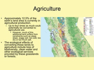 Agriculture Approximately 12.5% of the earth’s land area is currently in agricultural production. Up to four times as much could potentially be converted to agricultural use. However, much of this additional land suffers from constraints such as steep slope, soggy soil, too cold, too dry or too much salt. The ecological effects of converting these lands to agriculture include loss of biodiversity, clean water and other ecological services provided by these grasslands or forests. 