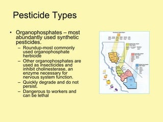 Pesticide Types Organophosphates – most abundantly used synthetic pesticides. Roundup-most commonly used organophosphate herbicide Other organophosphates are used as insecticides and inhibit cholinesterase, an enzyme necessary for nervous system function. Quickly degrade and do not persist. Dangerous to workers and can be lethal 