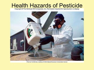 Health Hazards of Pesticide Usage 
