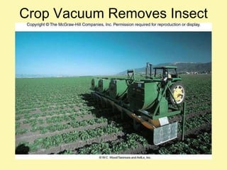 Crop Vacuum Removes Insect Pests 