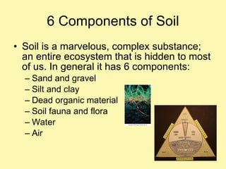 6 Components of Soil Soil is a marvelous, complex substance; an entire ecosystem that is hidden to most of us. In general it has 6 components: Sand and gravel Silt and clay Dead organic material Soil fauna and flora Water Air 
