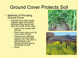 Ground Cover Protects Soil Methods of Providing Ground Cover Annual row crops cause highest rates of erosion because they leave soil bare for much of the year. Leave crop residue after harvest. Plant cover crops such as clover after harvest. Interplant two different crops in the same field.  Harvest one;  the other is left to hold the soil.  Double harvests are an advantage as well. Mulch 