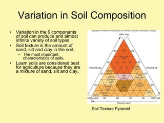 Variation in Soil Composition Variation in the 6 components of soil can produce and almost infinite variety of soil types. Soil texture is the amount of sand, silt and clay in the soil. The most important characteristics of soils. Loam soils are considered best for agriculture because they are a mixture of sand, silt and clay. Soil Texture Pyramid 