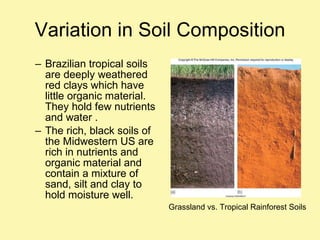 Variation in Soil Composition Brazilian tropical soils are deeply weathered red clays which have little organic material. They hold few nutrients and water . The rich, black soils of the Midwestern US are rich in nutrients and organic material and contain a mixture of sand, silt and clay to hold moisture well. Grassland vs. Tropical Rainforest Soils 