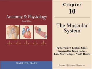 C h a p t e r 10 The Muscular System PowerPoint® Lecture Slides prepared by Jason LaPres Lone Star College - North Harris 