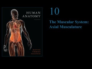 © 2012 Pearson Education, Inc. 
10 
The Muscular System: 
Axial Musculature 
PowerPoint® Lecture Presentations prepared by 
Steven Bassett 
Southeast Community College 
Lincoln, Nebraska 
 