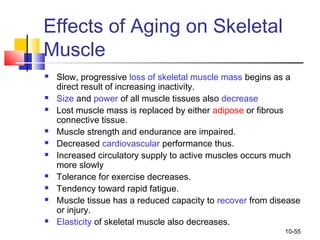 Ch10 muscle tissue | PPT
