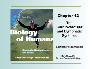 Chapter 12

     The
Cardiovascular
and Lymphatic
   Systems


Lecture Presentation


       Mark Manteuffel
St. Louis Community College
 