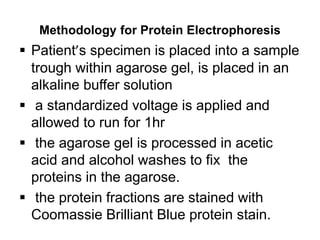 Methodology for Protein Electrophoresis
 Patient’s specimen is placed into a sample
trough within agarose gel, is placed in an
alkaline buffer solution
 a standardized voltage is applied and
allowed to run for 1hr
 the agarose gel is processed in acetic
acid and alcohol washes to fix the
proteins in the agarose.
 the protein fractions are stained with
Coomassie Brilliant Blue protein stain.
 