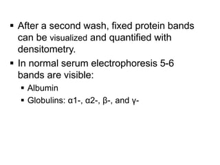  After a second wash, fixed protein bands
can be visualized and quantified with
densitometry.
 In normal serum electrophoresis 5-6
bands are visible:
 Albumin
 Globulins: α1-, α2-, β-, and γ-
 