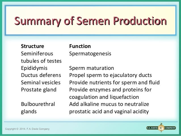 Ch10 semenanalysis