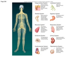 Chapter 10: Nervous System I: Basic Structure and Function Hole's Human ...