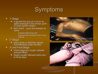 Symptoms
   1st Stage
        A growth the size of a nut or an
         apple emerged in the armpit, groin
         or neck (lymph nodes)
        Boil “buba” – gave the disease its
         name
             Caused agonizing pain
             If lanced and drained victim has a
              chance
   2nd Stage
        black spots or blotches appear
         from bleeding under the skin
   3rd and Final Stage
        Victim begins to cough violently
         and spit blood
        Death usually followed within two
         to three days
 