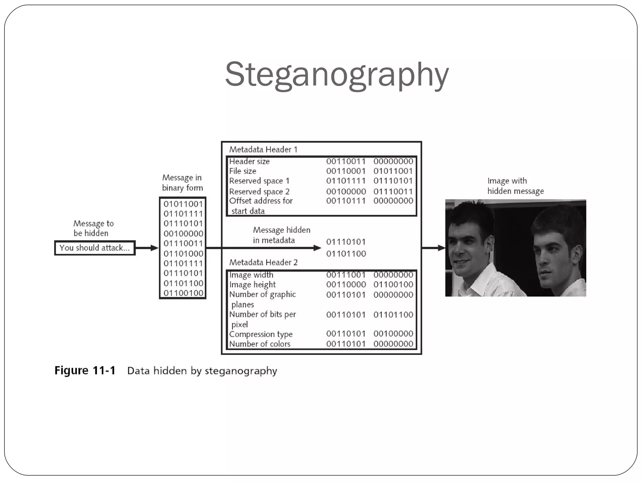 Steganography 