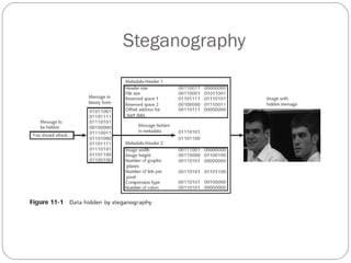Steganography 