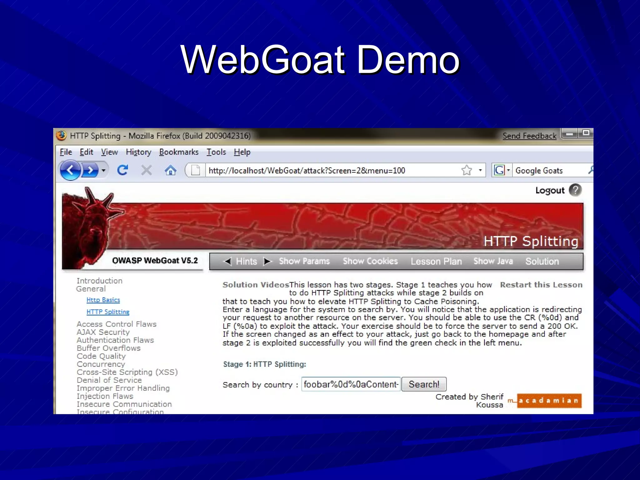 WebGoat Demo 