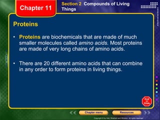 Proteins Proteins  are biochemicals that are made of much smaller molecules called  amino acids.  Most proteins are made of very long chains of amino acids. There are 20 different amino acids that can combine in any order to form proteins in living things. Section 2  Compounds of Living Things Chapter 11 