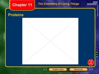 Proteins The Chemistry of Living Things Chapter 11 