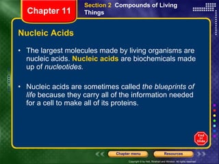 Nucleic Acids The largest molecules made by living organisms are nucleic acids.  Nucleic acids  are biochemicals made up of  nucleotides. Nucleic acids are sometimes called  the blueprints of life  because they carry all of the information needed for a cell to make all of its proteins. Section 2  Compounds of Living Things Chapter 11 