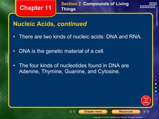 Nucleic Acids , continued There are two kinds of nucleic acids: DNA and RNA. DNA is the genetic material of a cell. The four kinds of nucleotides found in DNA are Adenine, Thymine, Guanine, and Cytosine. Section 2  Compounds of Living Things Chapter 11 