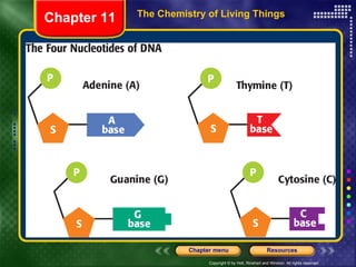 The Chemistry of Living Things Chapter 11 