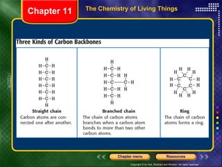 The Chemistry of Living Things Chapter 11 