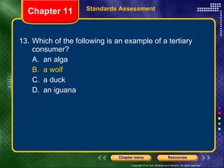 13. Which of the following is an example of a tertiary consumer? A. an alga B. a wolf C. a duck D. an iguana Chapter 11 Standards Assessment 