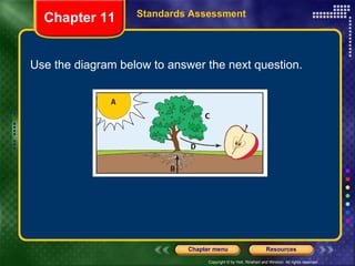 Use the diagram below to answer the next question. Chapter 11 Standards Assessment 