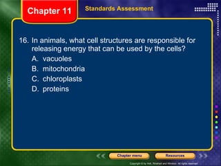 16. In animals, what cell structures are responsible for releasing energy that can be used by the cells?  A. vacuoles B. mitochondria C. chloroplasts D. proteins Chapter 11 Standards Assessment 