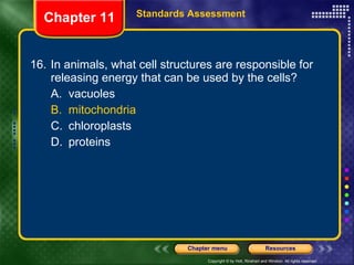 16. In animals, what cell structures are responsible for releasing energy that can be used by the cells?  A. vacuoles B. mitochondria C. chloroplasts D. proteins Chapter 11 Standards Assessment 