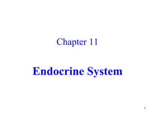 Chapter 11 Endocrine System   