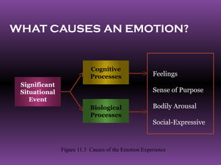 WHAT CAUSES AN EMOTION?


                           Cognitive
                           Processes                 Feelings
 Significant
 Situational                                         Sense of Purpose
    Event
                           Biological                Bodily Arousal
                           Processes
                                                     Social-Expressive



               Figure 11.3 Causes of the Emotion Experience
 