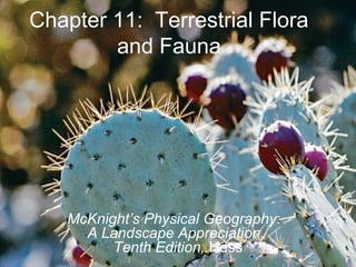 Chapter 11: Terrestrial Flora
and Fauna
McKnight’s Physical Geography:
A Landscape Appreciation,
Tenth Edition, Hess
 