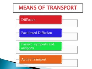 Diffusion
Facilitated Diffusion
Passive symports and
antiports
Active Transport
 