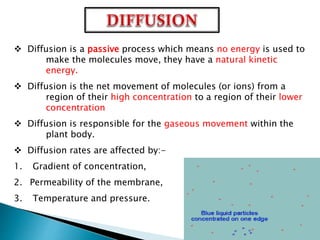  Diffusion is a passive process which means no energy is used to
make the molecules move, they have a natural kinetic
energy.
 Diffusion is the net movement of molecules (or ions) from a
region of their high concentration to a region of their lower
concentration
 Diffusion is responsible for the gaseous movement within the
plant body.
 Diffusion rates are affected by:-
1. Gradient of concentration,
2. Permeability of the membrane,
3. Temperature and pressure.
 