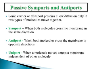  Some carrier or transport proteins allow diffusion only if
two types of molecules move together.
 Symport – When both molecules cross the membrane in
the same direction
 Antiport - When both molecules cross the membrane in
opposite directions
 Uniport - When a molecule moves across a membrane
independent of other molecule
 