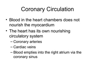 Coronary Circulation
• Blood in the heart chambers does not
nourish the myocardium
• The heart has its own nourishing
circulatory system
– Coronary arteries
– Cardiac veins
– Blood empties into the right atrium via the
coronary sinus
 