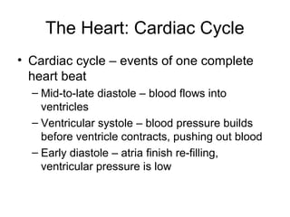 The Heart: Cardiac Cycle
• Cardiac cycle – events of one complete
heart beat
– Mid-to-late diastole – blood flows into
ventricles
– Ventricular systole – blood pressure builds
before ventricle contracts, pushing out blood
– Early diastole – atria finish re-filling,
ventricular pressure is low
 