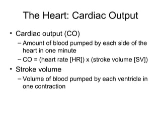 The Heart: Cardiac Output
• Cardiac output (CO)
– Amount of blood pumped by each side of the
heart in one minute
– CO = (heart rate [HR]) x (stroke volume [SV])
• Stroke volume
– Volume of blood pumped by each ventricle in
one contraction
 